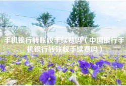 手机银行转账收手续费吗（中国银行手机银行转账收手续费吗）