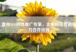 盘州SEO网络推广专家，企业网络营销强力合作伙伴