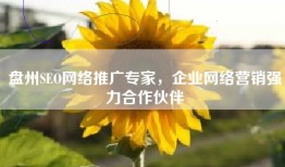 盘州SEO网络推广专家，企业网络营销强力合作伙伴