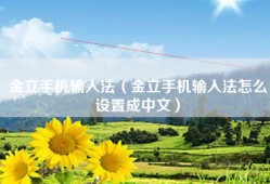 金立手机输入法（金立手机输入法怎么设置成中文）