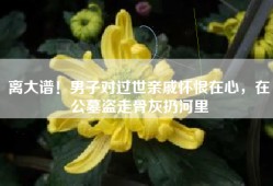 离大谱！男子对过世亲戚怀恨在心，在公墓盗走骨灰扔河里