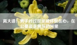 离大谱！男子对过世亲戚怀恨在心，在公墓盗走骨灰扔河里
