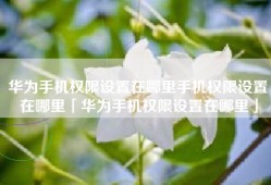 华为手机权限设置在哪里手机权限设置在哪里「华为手机权限设置在哪里」