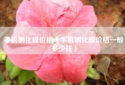 手机钢化膜价格（手机钢化膜价格一般多少钱）