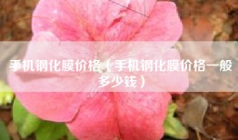 手机钢化膜价格（手机钢化膜价格一般多少钱）