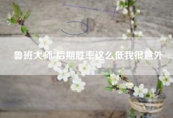 鲁班大师-后期胜率这么低我很意外