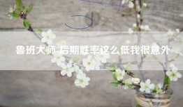 鲁班大师-后期胜率这么低我很意外