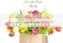 苹果手机怎么格式化清除所有东西（苹果手机怎么彻底格式化干净）