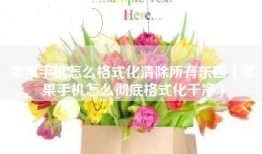 苹果手机怎么格式化清除所有东西（苹果手机怎么彻底格式化干净）
