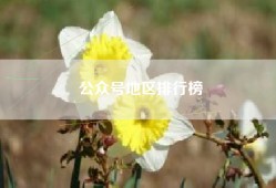 公众号地区排行榜