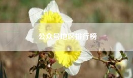 公众号地区排行榜
