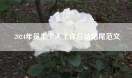 2024年员工个人工作总结结尾范文