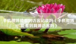 手机微博能看到访客记录吗（手机微博能看到具体访客吗）