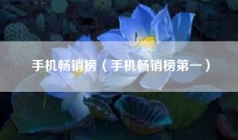 手机畅销榜（手机畅销榜第一）