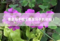 秦皇岛手机（秦皇岛手机补贴）