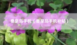 秦皇岛手机（秦皇岛手机补贴）