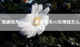 高通骁龙888plus（高通骁龙695处理器怎么样）