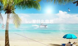 bear是什么意思