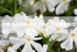 手机怎么恢复短信（手机怎么恢复短信删除的内容）
