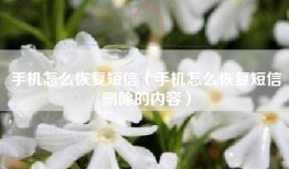 手机怎么恢复短信（手机怎么恢复短信删除的内容）