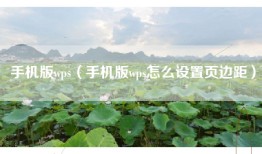 手机版wps（手机版wps怎么设置页边距）