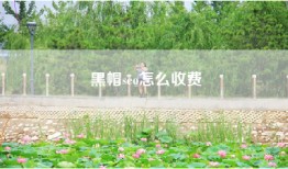 黑帽seo怎么收费