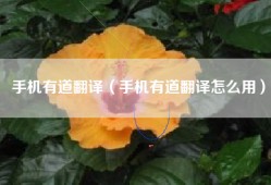 手机有道翻译（手机有道翻译怎么用）
