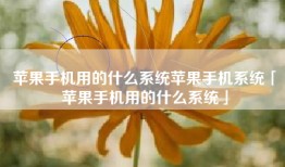 苹果手机用的什么系统苹果手机系统「苹果手机用的什么系统」