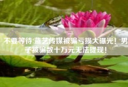 不要等待!蓝艺传媒被骗亏损大曝光！男子被骗数十万元无法提现！