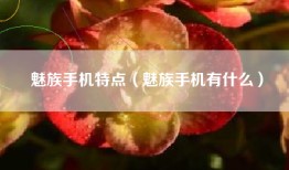 魅族手机特点（魅族手机有什么）