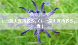 fat32最大支持多少g（fat32最大支持多少gu盘）