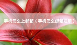手机怎么上邮箱（手机怎么邮箱注册）