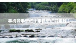 手机羽毛壁纸（手机壁纸羽毛球）