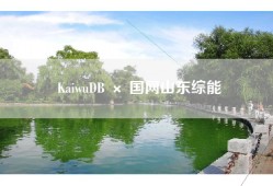 KaiwuDB × 国网山东综能