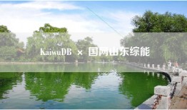 KaiwuDB × 国网山东综能