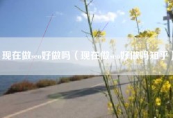 现在做seo好做吗（现在做seo好做吗知乎）