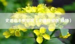 史迪奇手机壁纸（史迪奇壁纸 锁屏）