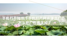手机打开网页（手机打开网页弹出广告,怎么把广告都关掉）