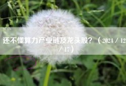 还不懂算力产业链及龙头股？（2024／12／17）