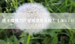还不懂算力产业链及龙头股？（2024／12／17）