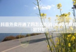 抖音外卖开通了吗怎么取消 2024技术攻略!(超好用)
