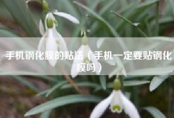 手机钢化膜的贴法（手机一定要贴钢化膜吗）