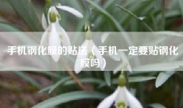 手机钢化膜的贴法（手机一定要贴钢化膜吗）