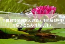 手机解锁密码怎么取消（手机解锁密码忘了怎么办才能打开）