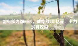 雷电微力涨0.96%，成交额2.83亿元，主力没有控盘
