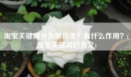 淘宝关键词分为哪几类？有什么作用？(淘宝关键词的含义)