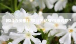 佛山百度推广如何为企业带来收益？