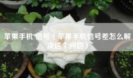 苹果手机 信号（苹果手机信号差怎么解决这个问题）