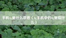 手机4g是什么意思（4g手机中的4g是指什么）