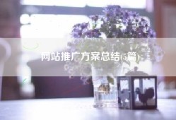 网站推广方案总结(5篇)